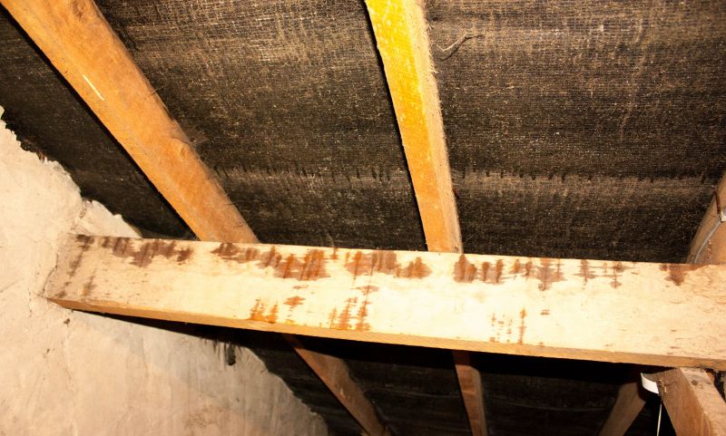 Bathroom Water Damage Repair in Denver County, CO